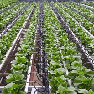 Jual Pipa Schedule Kirim ke Kepulauan Siau Tagulandang Biaro (Sitaro)